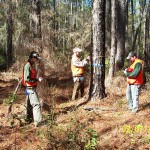 Students measuring trees for forest inventory
